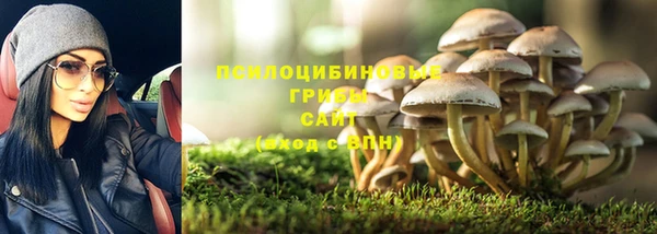 твердый Нефтегорск